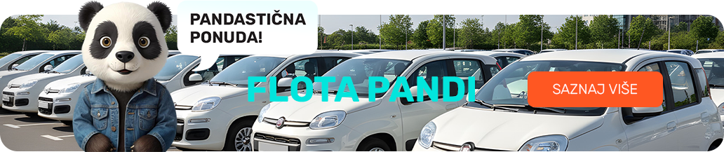 InterCar - flota fiat panda